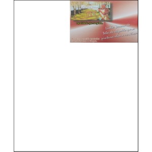 TELA DE PINTURA 30x40CM