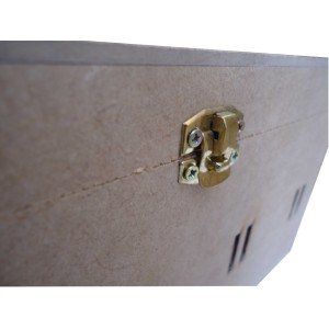 CAIXA REMÉDIO PASSA-FITA 23X18X13CM